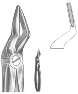 Extracting Forceps English Pattern