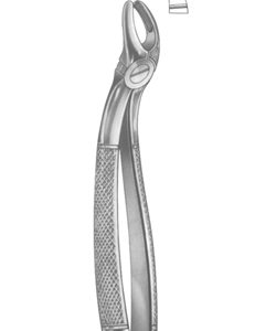Extracting Forceps English Pattern