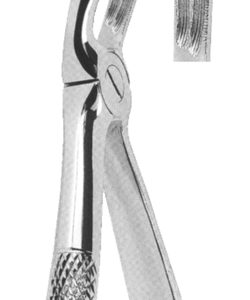 Extracting Forceps English Pattern