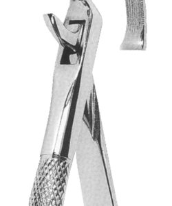 Extracting Forceps English Pattern