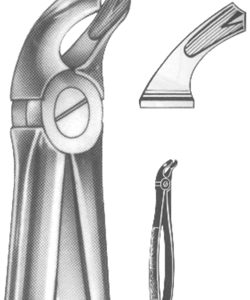 Extracting Forceps English Pattern