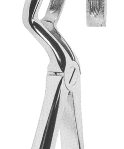 Extracting Forceps English Pattern