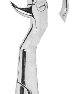 Extracting Forceps English Pattern