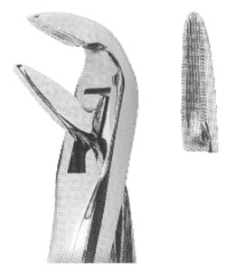 Extracting Forceps With Anatomically Shaped Handle