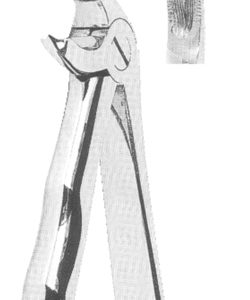 Extracting Forceps With Anatomically Shaped Handle