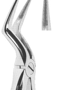 Extracting Forceps With Anatomically Shaped Handle