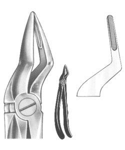 Relax Extracting Forceps